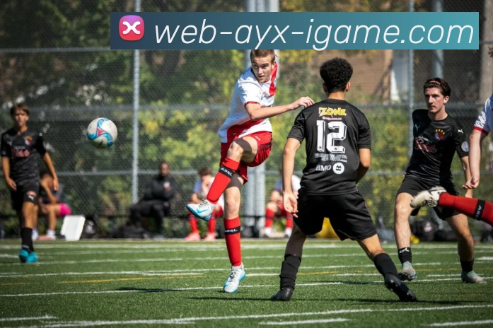 多媒体互动体验